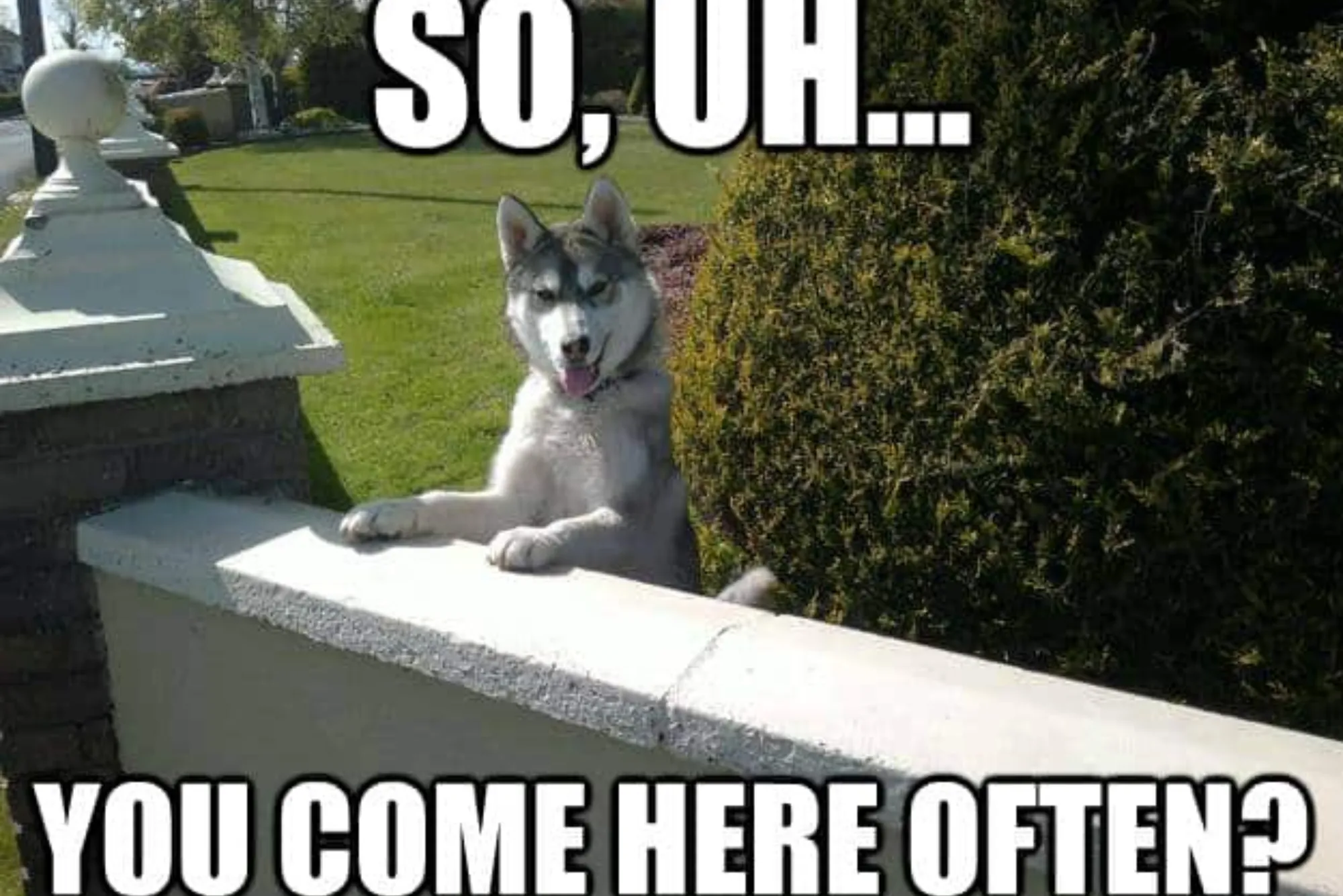 Funny Flirty Flirty Memes For Him