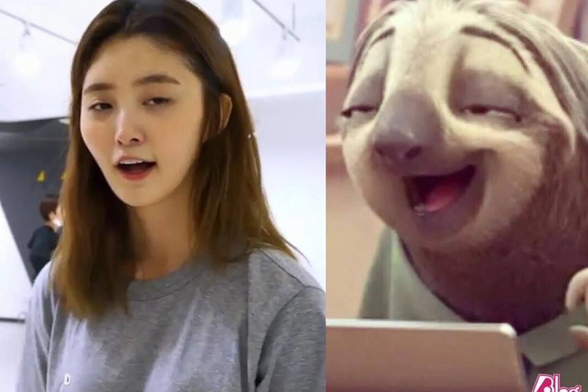 Funny Memes 2022 Dirty