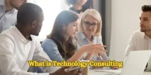 What is Technology Consulting