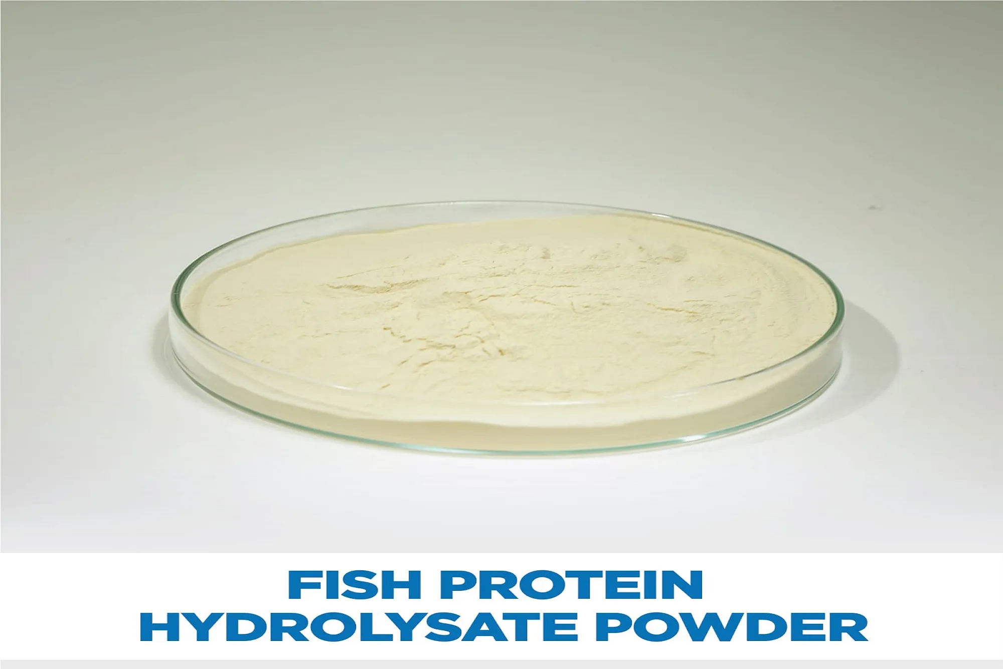 Organic Shrimp Feed Innovations